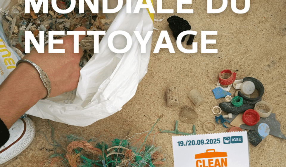 2025-Clean-Up