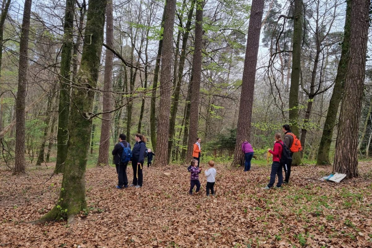 03d1c932-917c-419f-8926-9f1d07d649e2