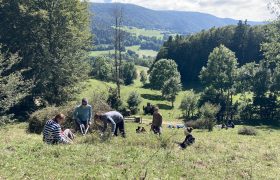 Chantier_Paquier_18.09.2024