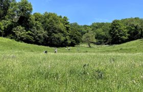 Mont-sur-Rolle