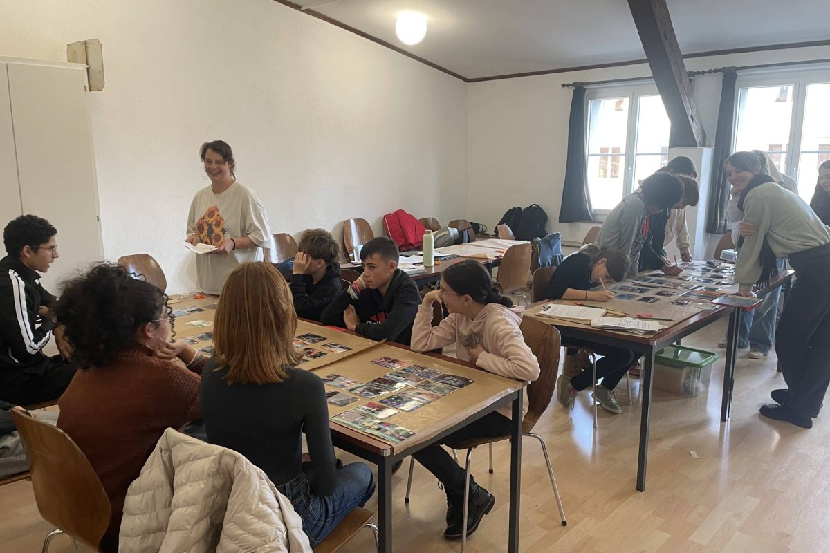 Fresque de la biodiversité