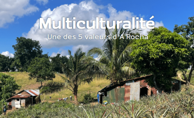 image PG journal petit