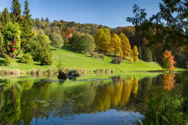 arboretum-aubonne-buehne-content-2