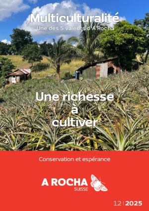 image PG journal 2025