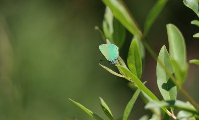 image_couverture_132x80mm_300dpi_GJ